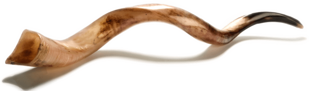 shofar with a shadow